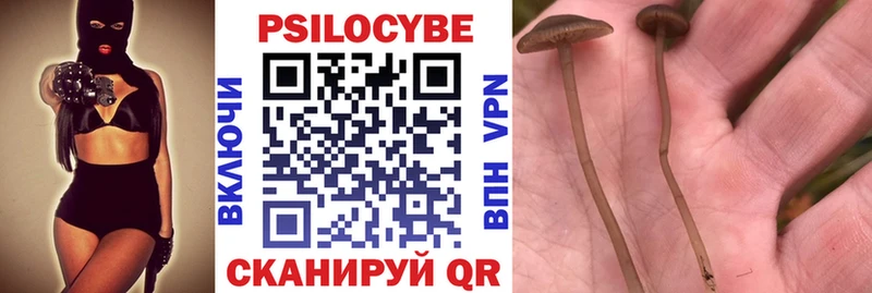 Галлюциногенные грибы MAGIC MUSHROOMS  Иваново 